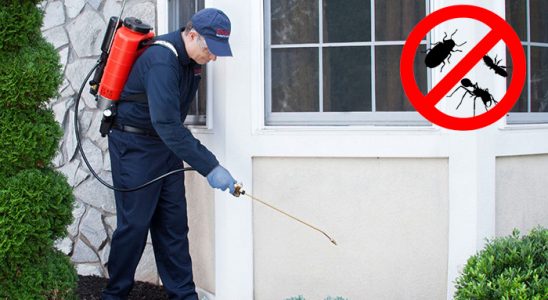 Yalvaç Dezenfeksiyon böcek ilaçlama ve haşere kontrolü — ilaclama-tr.com